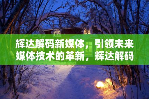 辉达解码新媒体，引领未来媒体技术的革新，辉达解码新媒体，革新未来媒体技术的领航者缩略图